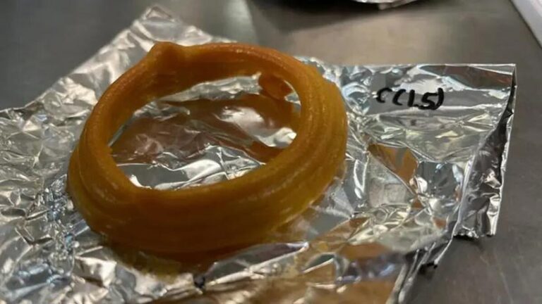 Air-frying a 3D printed plant-based calamari ring resulted in a quick, tasty snack. Photo © Poornima Vijayan 