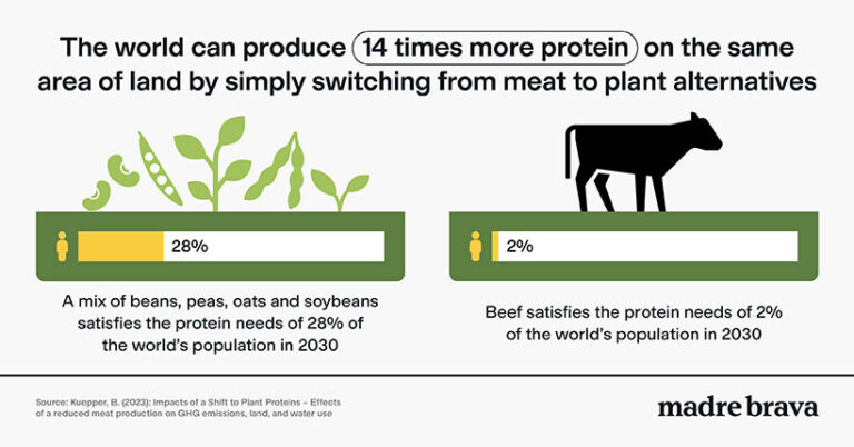 A switch to plant-based farming could produce more food on the same amount of land. Image © Madre Brava