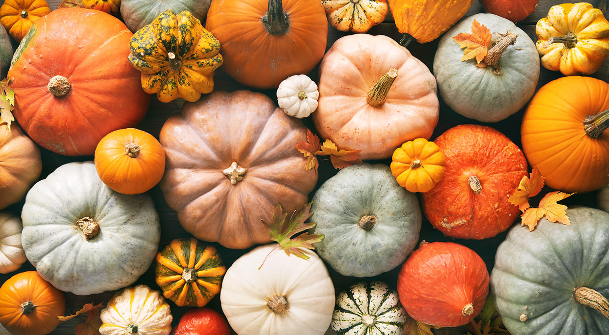 8 health benefits of pumpkin that will make you want to add more to your diet