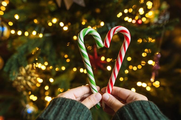 Celebrate veganism by making new traditions like hosting a candy cane hunt and encourage your loved ones to join you. Photo © ArtMarie via Getty Images