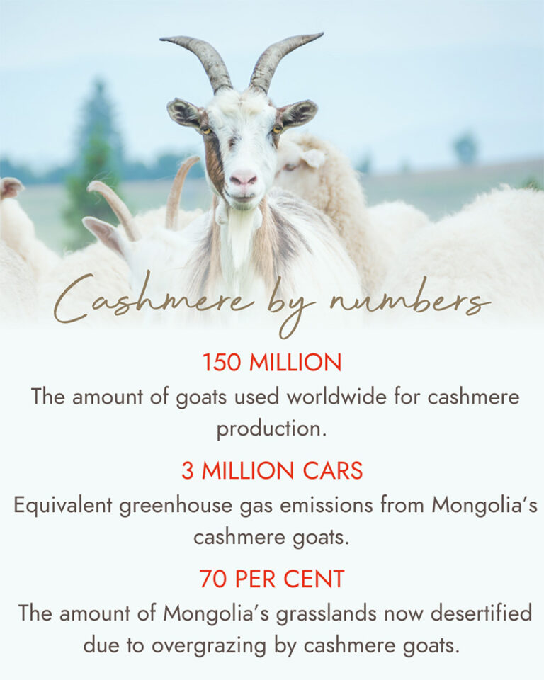 The stats surrounding this 'quiet luxury' are alarming. Photo credit: seakitten via Getty Images -infographic created by Vegan Food & Living