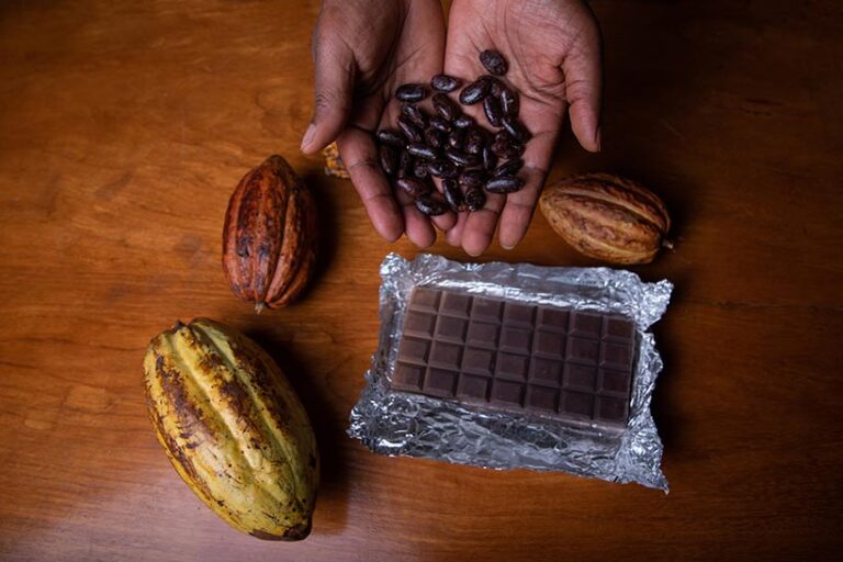 A higher cocoa content means chocolate is more healthy. Photo © Media Lens King via Getty Images