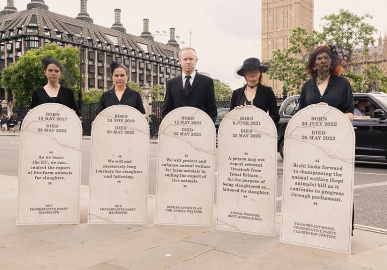 Members of Compassion in World Farming gather outside the Houses of Parliament with tombstones bearing promises made regarding the banning of live exports. Photo © Compassion in World Farming