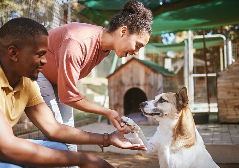 Fostering an animal while they wait for their forever home can be a rewarding venture. Photo © S Fanti/peopleimages.com via Adobe Stock