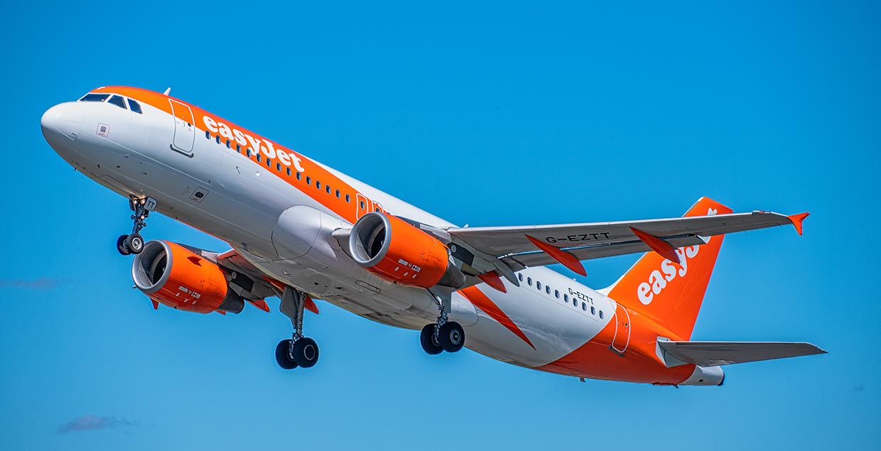 EasyJet scraps animal-based attractions as it makes animal welfare a top priority