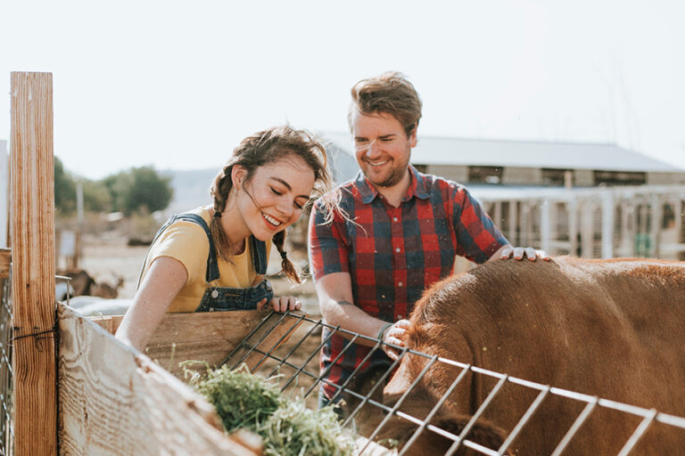 Volunteering trips can be a fun way to get closer to animals and give back to the planet whilst on holiday. Image © rawpixel.com via adobe stock