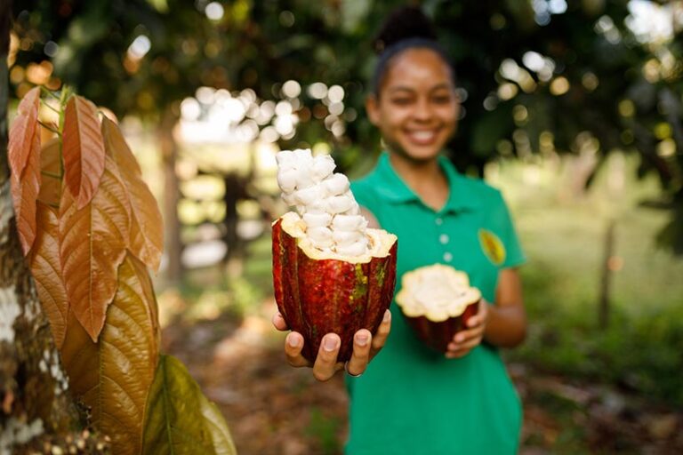 Money may not grow on trees, but chocolate does. Photo © Capuski via Getty Images