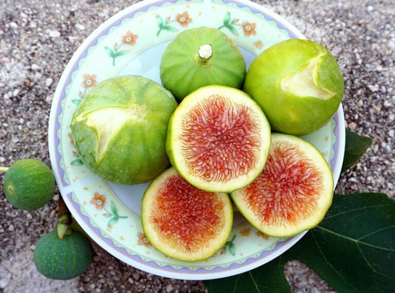 Figs themselves are considered vegan, but some vegans may choose to avoid specific types or figs based on personal preferences or ethical considerations. Photo © Happy Window via Adobe Stock