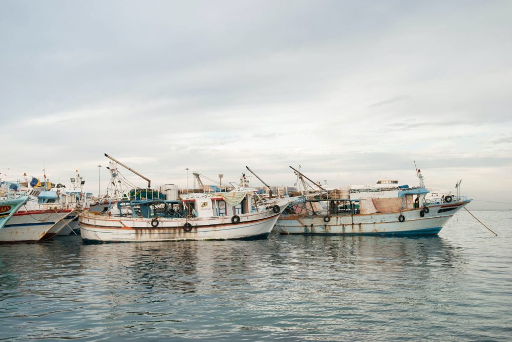 Overfishing: Why aquaculture isn’t the solution