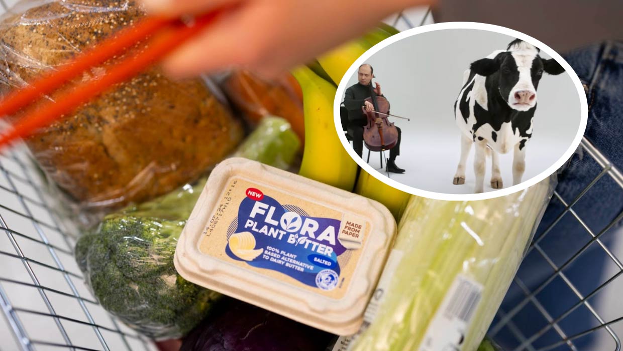 Flora brands dairy ‘a bit weird’ as it launches innovative new sustainable vegan products