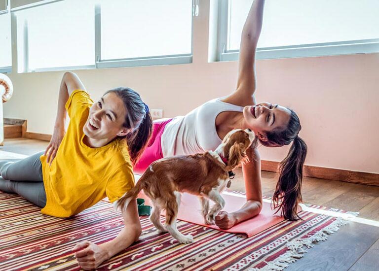 Class organisers often borrow puppies from breeders, and animal rights organisations have branded the practice 'physically and mentally stressful' for the animals. Photo © DaniloAndjus via Getty Images