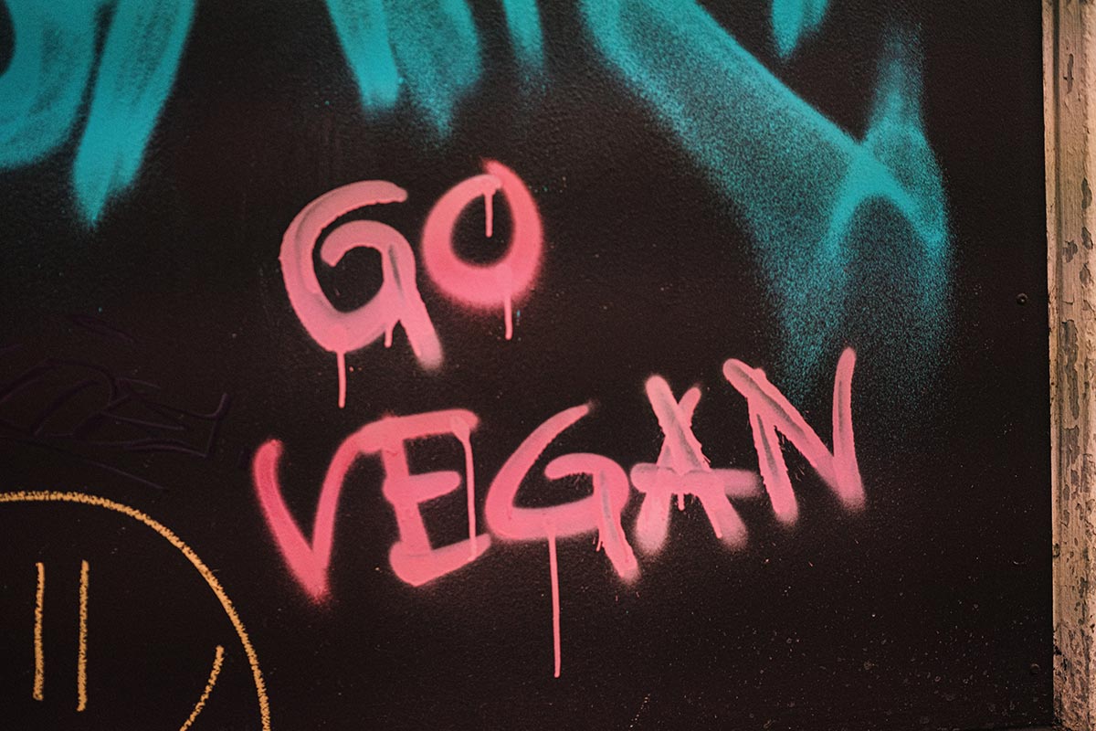 What is a veganism? Complete vegan guide for beginners from food to nutrition