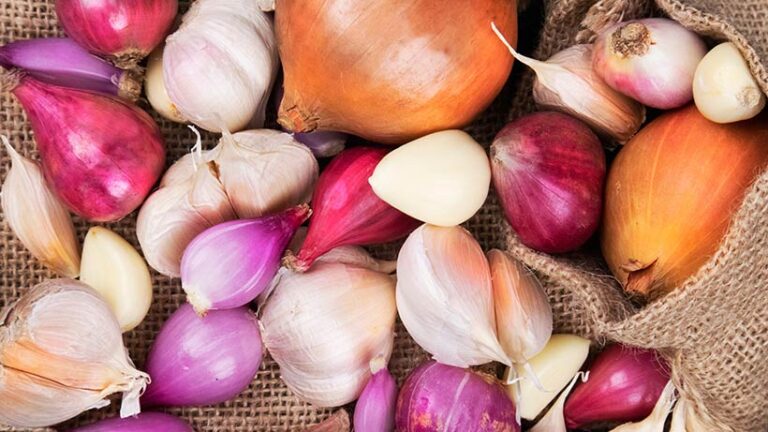 Fructan, found in foods like garlic and onion as well as wheat, may be the cause of a perceived intolerance to gluten. Photo © SkataCreative via Adobe Stock