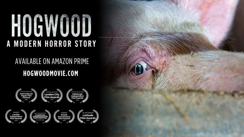 Hogwood: A Modern Horror Story 