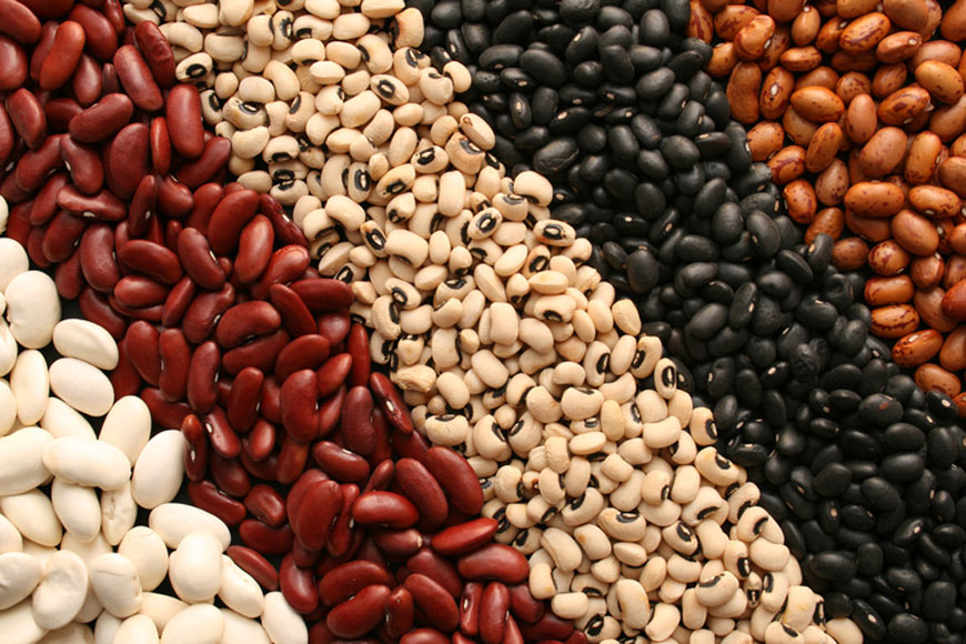 Protein: Why we need it, and where to get it on a vegan diet