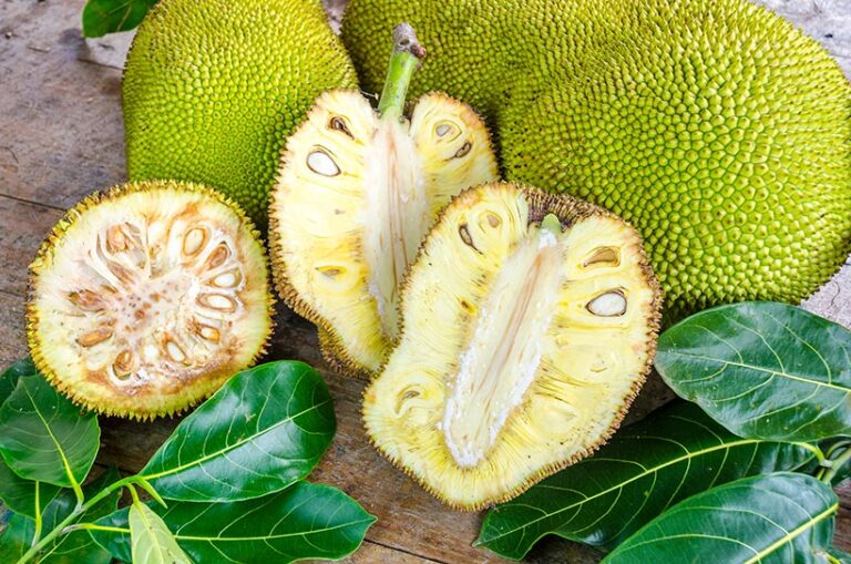 Jackfruit is the largest fruit that grows on trees with a tropical flavour somewhere between a pineapple and a mango. Photo © napior via Adobe Stock