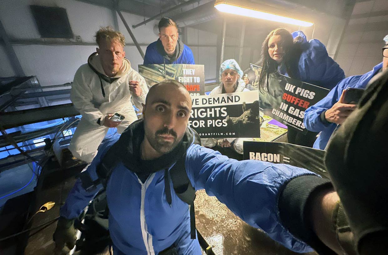 Joey Carbstrong and activists occupy abattoir accusing it of ‘torturing pigs in gas chambers’