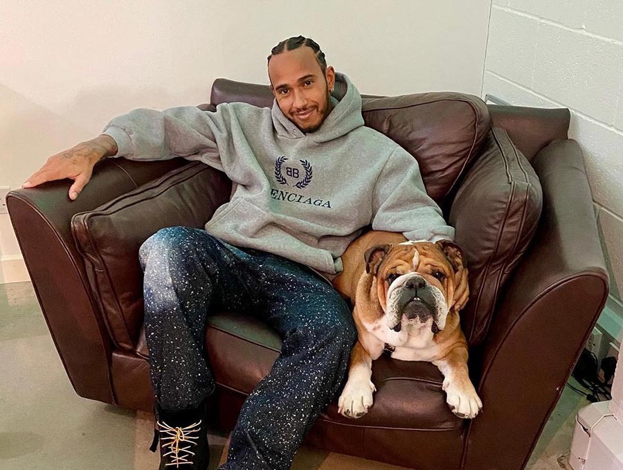 Lewis Hamilton sitting on a sofa with his pet bulldog Roscoe 