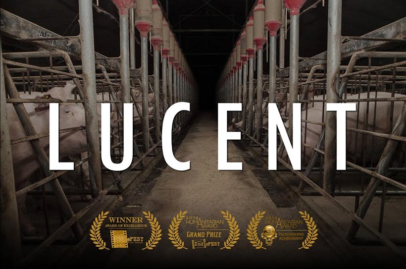 Lucent documentary