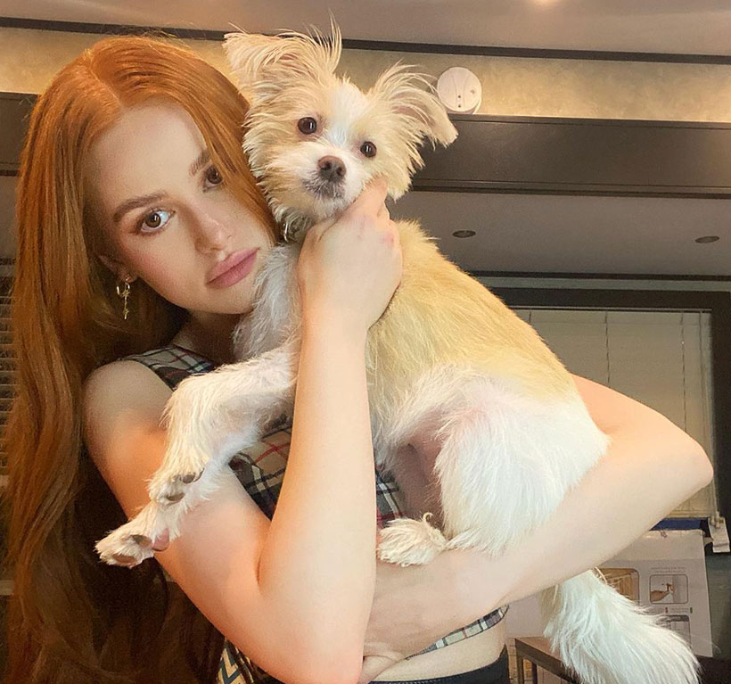 Vegan celebrity and actress Madelaine Petsch holding her pet dog 