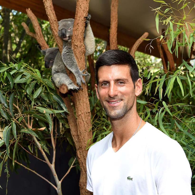 Novak Djokovic - vegan atheletes