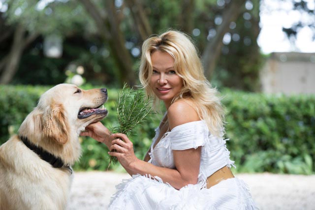 Pamela Anderson with her pet Labrador dog 