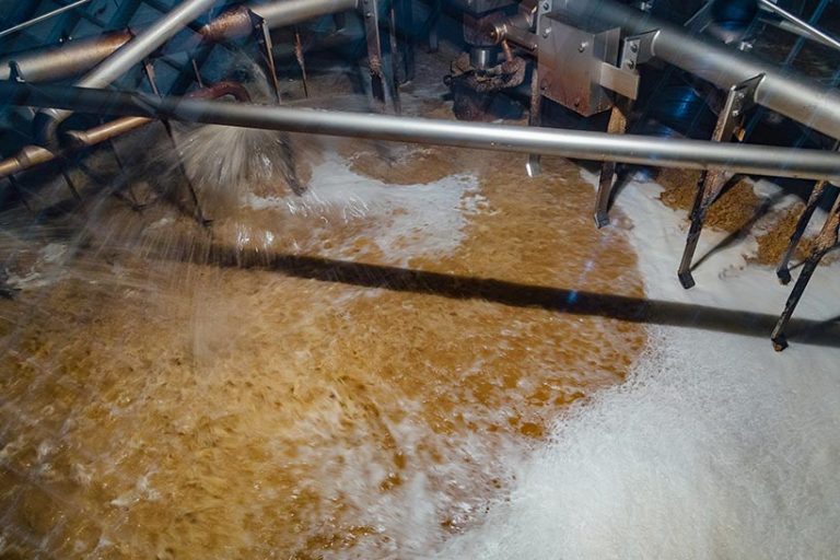 Traditionally, ingredients such as gelatine or isinglass are used by some companies to filter beer to remove sediment, although many brands now opt for animal-free filtration systems. Photo © Vladimir Volovodov via Getty