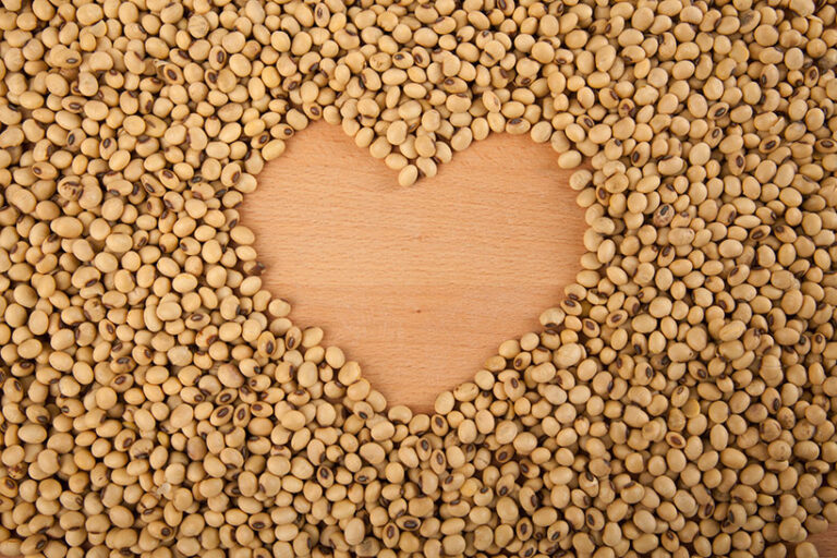 Dozens of controlled clinical trials have shown that consuming soy lower cholesterols and s reduce the risk of heart attacks and strokes. Photo © halfbottle via Adobe Stock