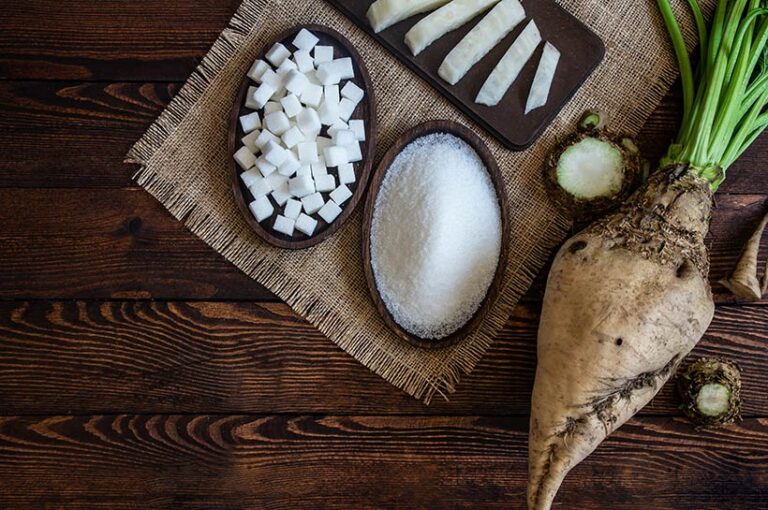 Sugar beet is one of the main sources of sucrose, the simple sugar also derived from sugar cane. Photo © mescioglu via Adobe Stock