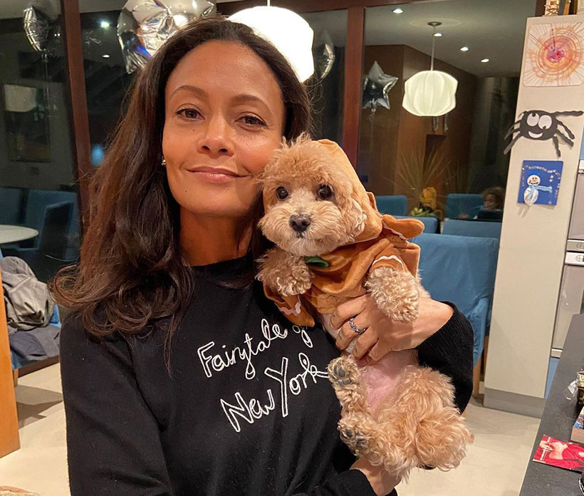 Vegan celebrity Thandiwe Newton cuddling her pet dog who is wearing a jumper 