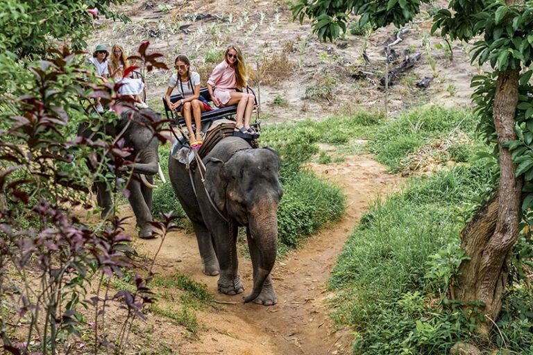 Animal tourism such as elephant trekking is everywhere you look, but the dark reality is that these places exploit animals - putting profits before ethics and animal welfare. Photo © mizuno555 via Adobe Stock