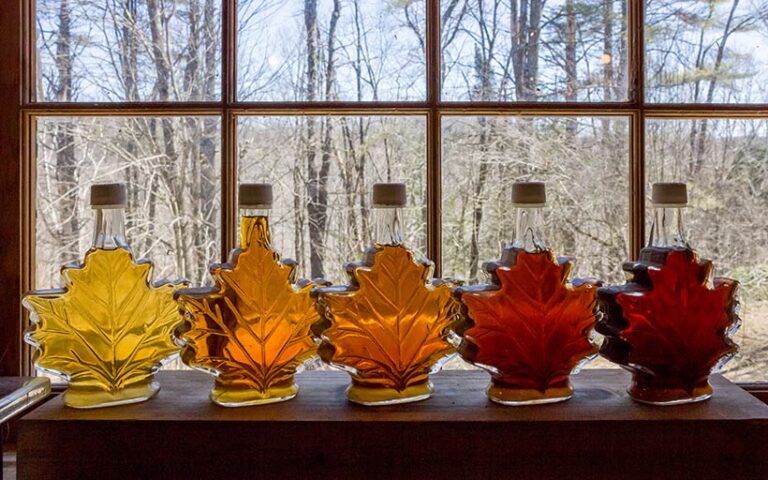 Maple syrup is made from the sap of maple trees, and is graded based on colour and taste. Photo © Eric Dale Creative via Adobe Stock