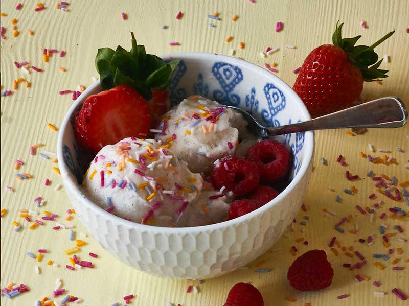 Vegan Vanilla Ice Cream 