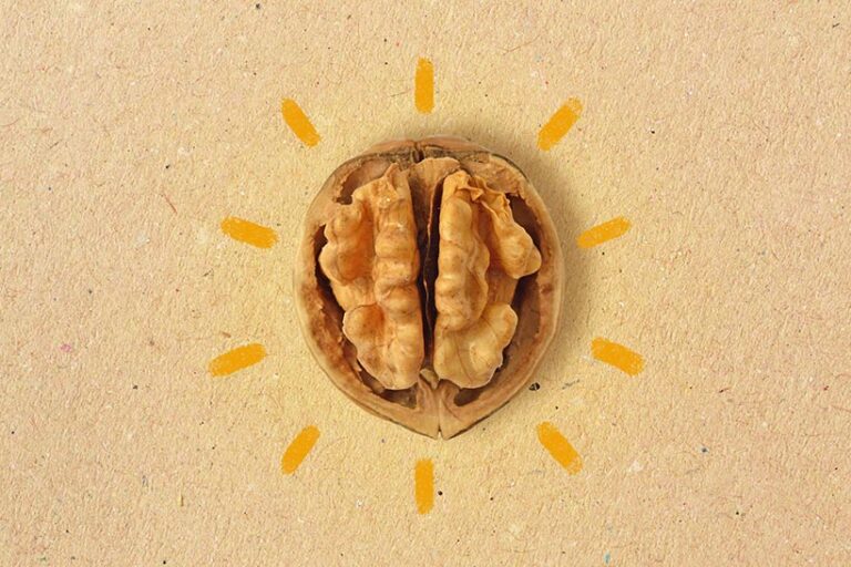 Sources of healthy omega-3 fats, like walnuts, are excellent for brain health. Photo © CalypsoArt via Getty Images