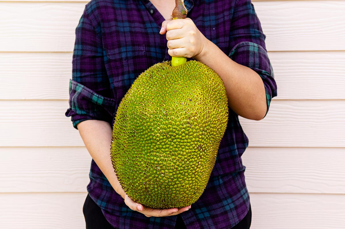 What is jackfruit? How to cook jackfruit and does it taste like pulled pork?