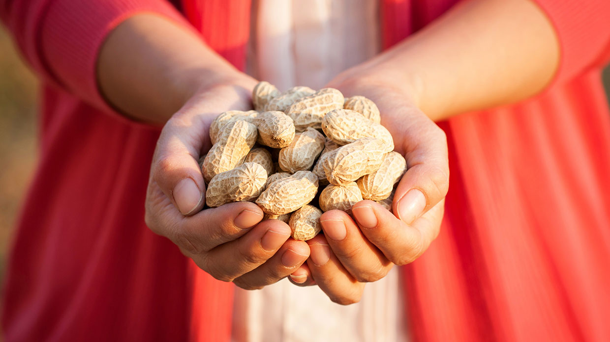 Are peanuts healthy? Discover the health benefits of peanuts and peanut butter