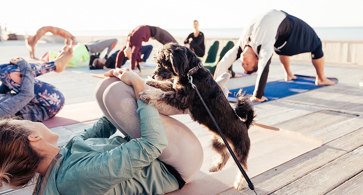 ‘Stressful’ puppy yoga has been banned in Italy amid concerns over mistreatment